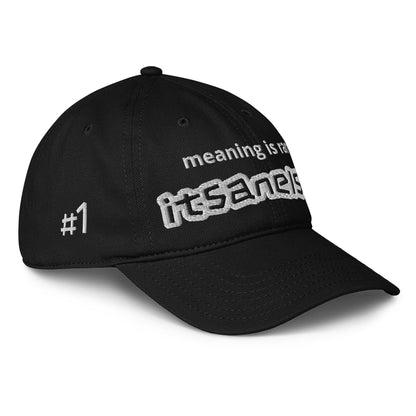 It's A Nelson EMBROIDERY MEANING IS RARE | Low-Profile Baseball Cap